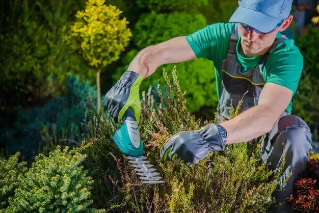 landscaping services Peabody